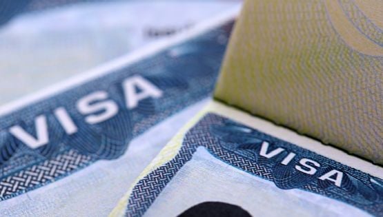 Desmantelan grupo que traficaba personas desde Guatemala en Tamaulipas; detienen a dos con visas