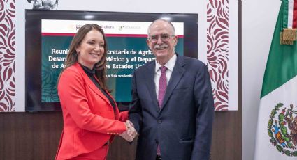 México y EU revisan avances contra la plaga de gusano barrenador para reapertura de la exportación