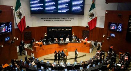 “Tenemos que estar presentables”, presidenta del Senado justifica estética dentro de la Cámara Alta
