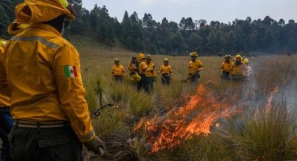 México y casi 50 países se comprometen a combatir los incendios forestales desde la prevención