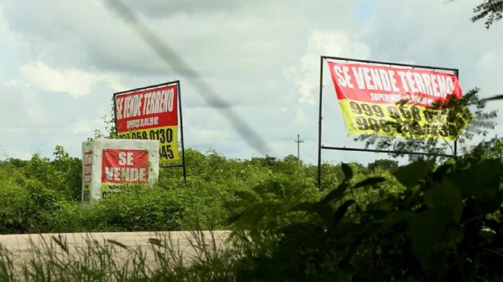 Operación despojo: dos gobernadores y un exfuncionario dicen desconocer sobre el robo de terrenos nacionales en Yucatán