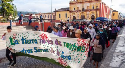 Activistas piden acciones efectivas para evitar la urbanización desmedida que afecta a los humedales en Chiapas