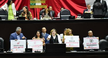 Diputados aprueban en lo general reforma constitucional para proteger maíces nativos en México