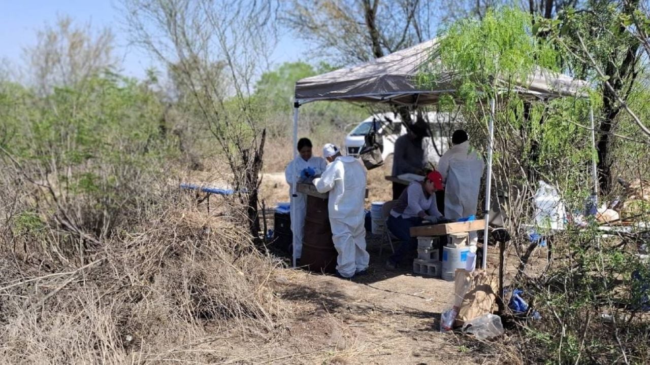 Hallan sitio de exterminio en Tamaulipas con 14 concentraciones de restos óseos