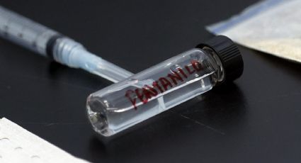 Narcotráfico en Latinoamérica: redes criminales descentralizadas, fentanilo y corrupción impulsan su dominio