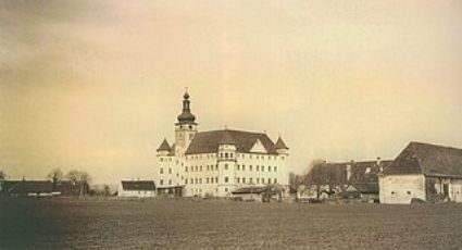 Hallan campo de exterminio nazi en Austria con una capa de cenizas humanas y restos óseos a lo largo de medio kilómetro