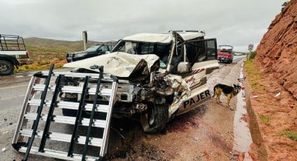 Accidente en Bolivia: caída de autobús deja 31 muertos y 22 heridos tras chocar en una carretera