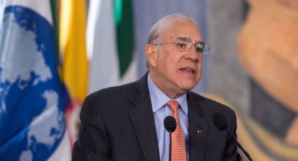 “Ha faltado reacción, no reaccionar”: José Ángel Gurría considera que se necesitan más acciones de México contra la migración y el fentanilo