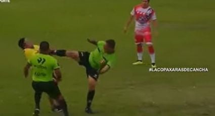 ¡A lo Daniel-San! Árbitro peruano evita una agresión con una patada karateca que manda al césped a un director técnico