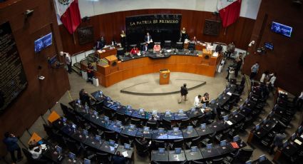 Senado avala en comisiones prohibición del maíz transgénico