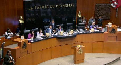Senado aprueba reforma que prohíbe la siembra de maíz transgénico en México