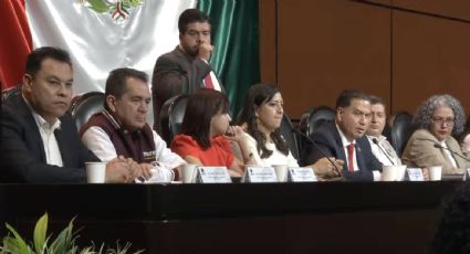 Diputados aprueban en comisión dictamen a la Ley de Adquisiciones; hay susceptibilidad de corrupción de funcionarios y en dependencias: PRI