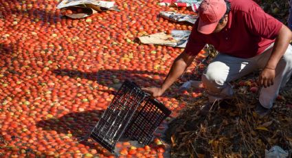 Aranceles al jitomate son por presunta práctica desleal de los productores mexicanos, afirma titular de Agricultura