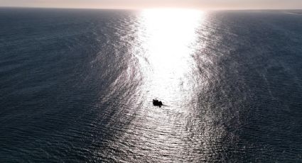 "Canadá lo hace y a nosotros no nos dejan": Trump firma orden para permitir la pesca en áreas protegidas del Pacífico