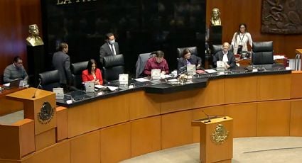 Morena aprueba en Senado extrañamiento contra presidente del comité de desaparición de la ONU