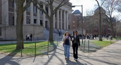 Harvard demanda al gobierno de Trump después de que le prohibieran matricular a estudiantes extranjeros