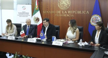 OEA afirma que su observación sobre la elección judicial será imparcial y rigurosa
