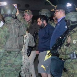Cae en Colombia el hermano del narcotraficante “Fito”; ofrecían hasta 100 mil dólares por su captura