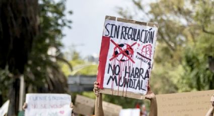 México genera dudas como país sede de la Copa del Mundo 2026 tras amenazas en marcha contra la gentrificación: “Sin regulación no habrá Mundial”