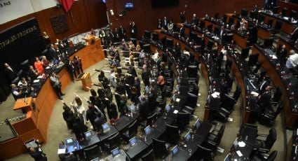 Senadores de oposición pedirán remoción de magistrada por trato ofensivo a personal de carrera y de base