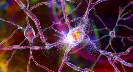 Desarrollan el primer tratamiento exitoso para un mal neurodegenerativo, la enfermedad de Huntington