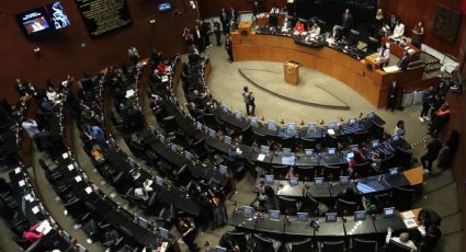 Comparecerán Mario Delgado y Ariadna Montiel en el Senado el 11 y 18 de noviembre