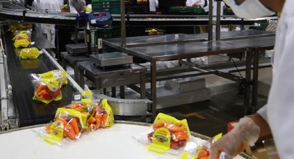 Producción en 2025: México certificó más de 2 mil alimentos orgánicos
