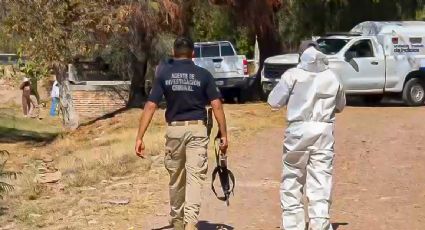 Fosas clandestinas en Guanajuato: confirman el hallazgo de 15 cuerpos en el municipio Cortazar