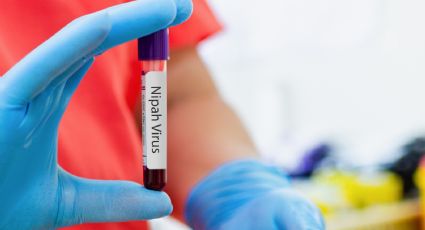 Emiten alerta epidemiológica en India por brote del virus Nipah; 190 personas están en cuarentena
