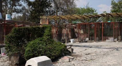 Refugio Franciscano recupera posesión del predio en Cuajimalpa; Fundación Haghenbeck presenta denuncia por presunto despojo