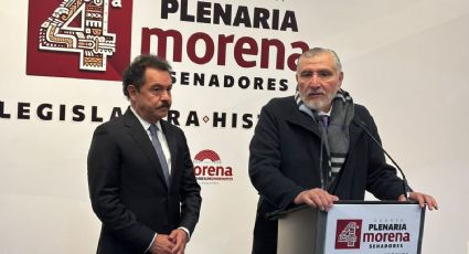 Adán Augusto López deja la coordinación de la bancada de Morena en el Senado