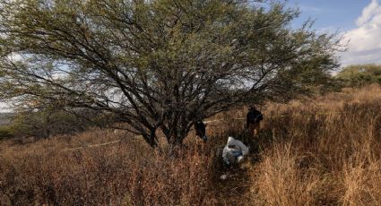 Crisis forense en México: prevalece la discrepancia en registros oficiales sobre las 4 mil 500 fosas clandestinas