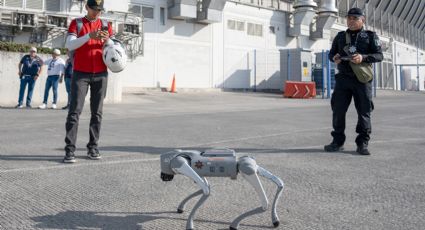 Perros robot que apoyarán con la seguridad durante el Mundial en Nuevo León costaron 2.5 millones de pesos