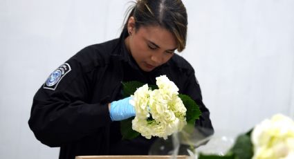 Día de San Valentín eleva 6% la importación de flores a EU tras "sobrevivir" los aranceles de Trump