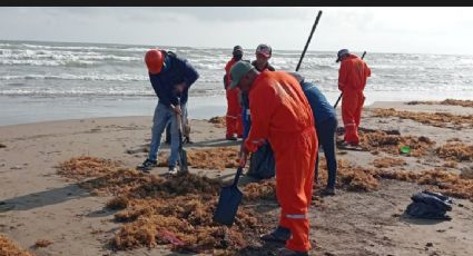 Sigue la contaminación por hidrocarburo en playas de Veracruz y ahora se le suma el sargazo