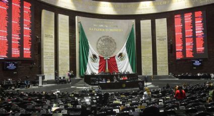 Con el rechazo del PRI, diputados aprueban la convocatoria para elegir a tres consejeros del INE; ministros designarán por tómbola si no hay consenso   