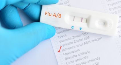 Llega la gripe aviar AH9N2 a Europa: detectan el primer caso en una persona en Italia