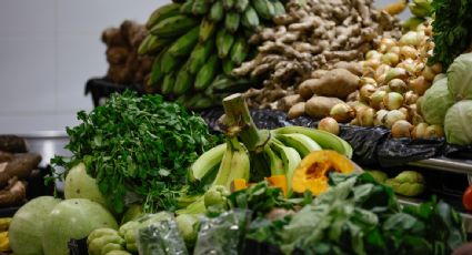 Más de 70 organizaciones exigen que México cumpla con ley de alimentación adecuada y sostenible