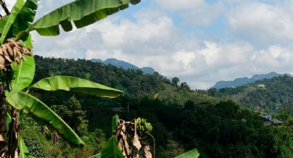 Pueblos indígenas de Honduras alertan colapso de la Biosfera del Río Plátano y exigen autonomía