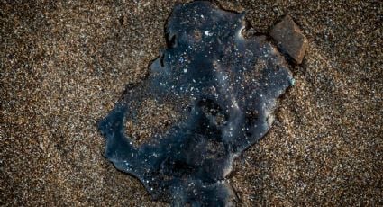 Derrame en el Golfo de México: reportan manchas de hidrocarburo todavía en 81 playas de Veracruz, Tabasco y Tamaulipas