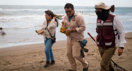 Derrame en el Golfo: crean Observatorio Permanente a más de un mes de la fuga de hidrocarburo
