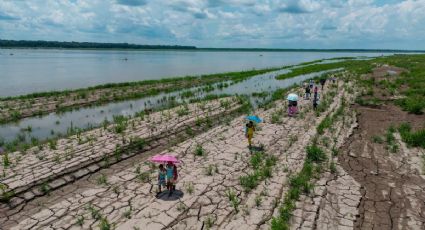 "Habrá eventos climáticos nunca vistos en la historia moderna", advierten meteorólogos sobre El Niño