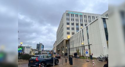 Brote de hantavirus: van a cuarentena 12 trabajadores de hospital en Países Bajos por potencial contagio