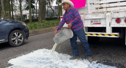 Productores protestan y derraman leche descompuesta en Veracruz; reclaman haber sido eliminados de programa del Bienestar