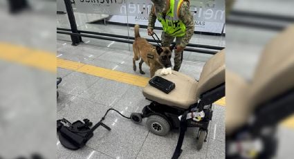 Cae en el AICM sujeto que transportaba casi nueve kilos de cocaína escondidos en una silla de ruedas