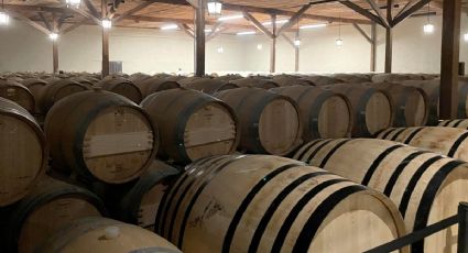 Comercio y consumo de vino registran una disminución en 2025; aranceles de EU entre las causas