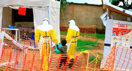 Casos de ébola en África podría convertirse en una "pandemia muy importante": exdirector de los CDC de EU