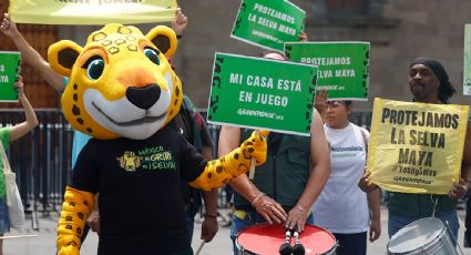 Lanzan la iniciativa "Ruta del jaguar" en sedes del Mundial para advertir sobre la destrucción de la Selva Maya