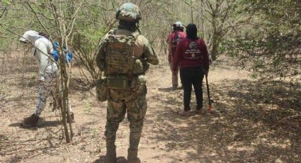 Desaparecidos en Sinaloa: madres buscadoras hallan los restos de dos mujeres en Mazatlán