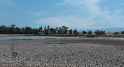 Latinoamérica vivió un calor extremo sin precedentes este 2025, con sequías y altas temperaturas: OMM